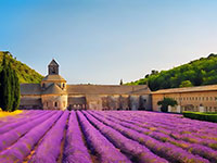 Abbaye de Senanque