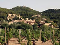 Chateauneuf du Pape