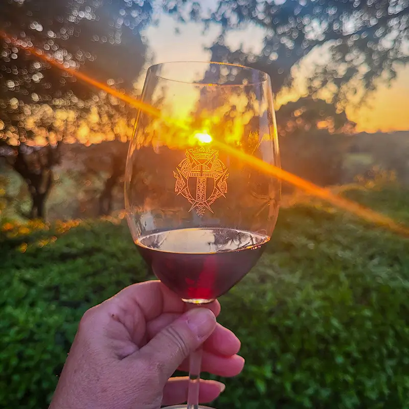 chateauneuf du pape wine tasting provence