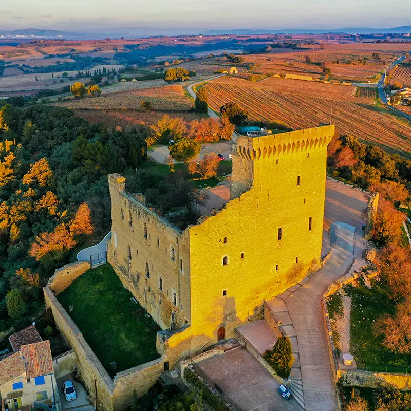 one highlight of provence chateauneuf du pape vineyard large image