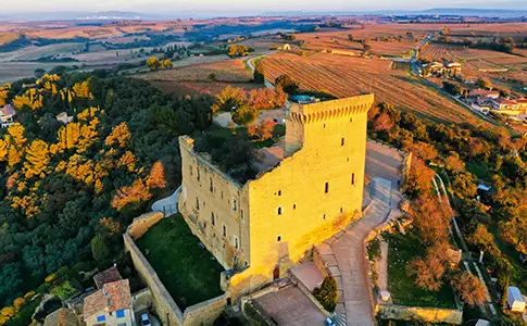 one highlight of provence chateauneuf du pape vineyard