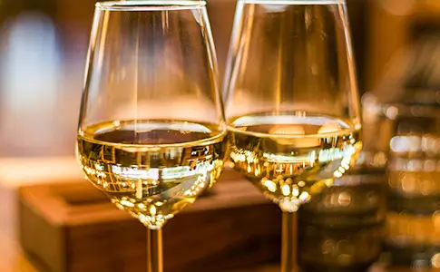 one highlight of provence wine and terroir with roman history